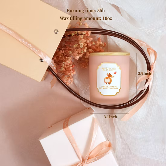 Grande marque de luxe huile essentielle parfumée 100% cire de soja pot en verre bougie SPA